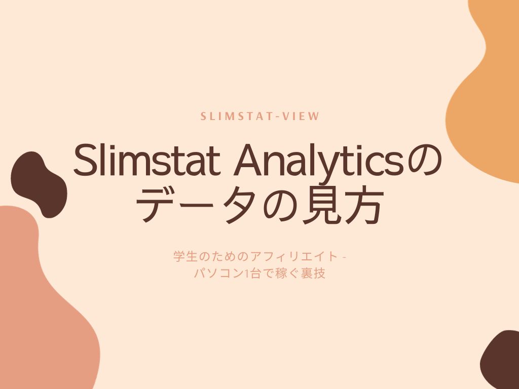 Slimstat Analyticsのデータの見方とは？わかりやすく画像解説