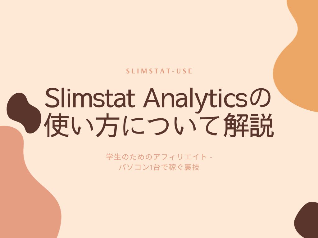 Slimstat Analyticsの使い方とは？アクセス解析の見方【最新版】